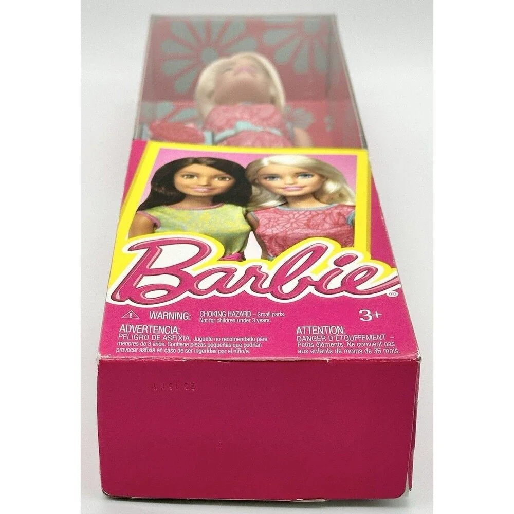 2015 Mattel DGX62 Barbie Friends Series Pink Dress 12